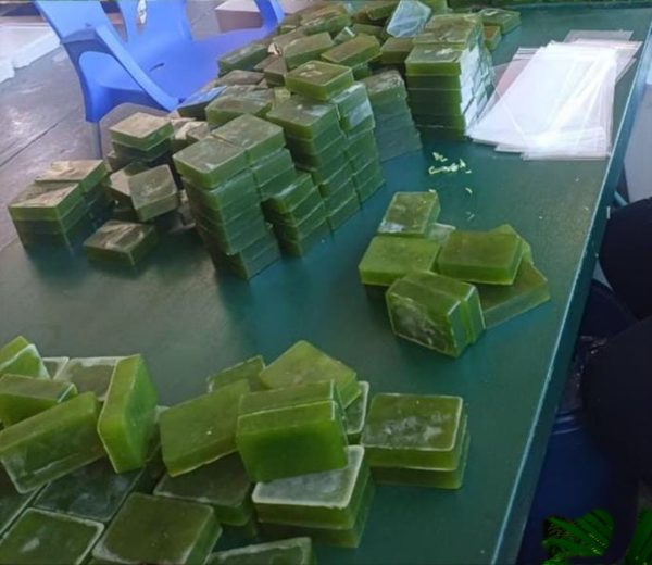 MORINGA SOAP 10X - Image 2