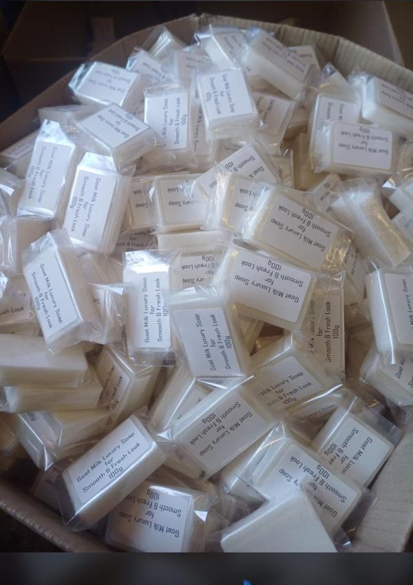 10X GOAT SOAP