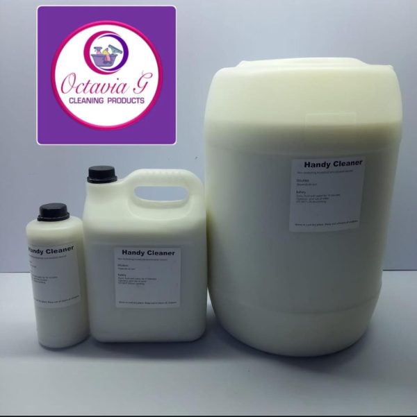 5L HANDY CLEANER