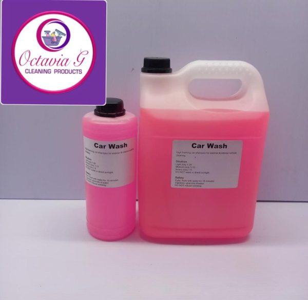 5L PINK CAR WASH